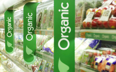 Какво е екологичен продукт?