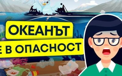 Замърсяването на световния океан / Островите боклук и масло в океана 